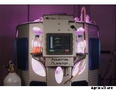 Industrial Plankton - Photobioreactors Made for Algae Culture