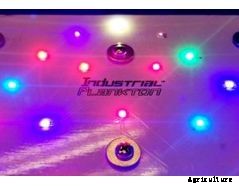 Industrial Plankton - Photobioreactors Made for Algae Culture