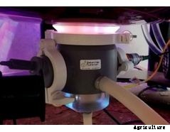 Industrial Plankton - Photobioreactors Made for Algae Culture