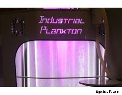 Industrial Plankton - Photobioreactors Made for Algae Culture