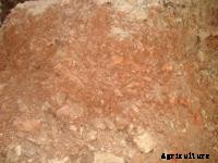 Model BMS-689 - Brown Clay