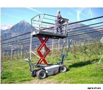 Frizz - Model D - Diesel Working Platform