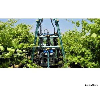 Ledgard - Green Trimmer- Viticulture