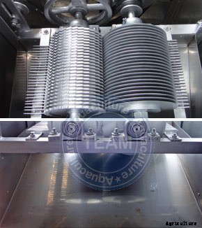 Team - Fish Cutting Machine