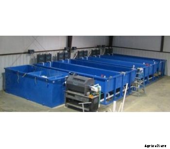 Global Aquatics - Model S-09 - Fish Growing System