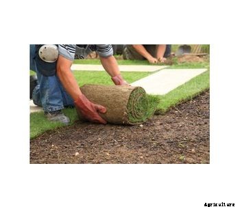 Approved Trader - Turfing for Landscaping and Gardening