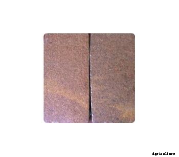 CoirGreen - Coco Peat