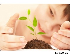 CoirGreen - Coco Peat