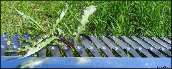 CombCut - Weed Cutter