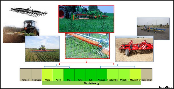 CombCut - Weed Cutter