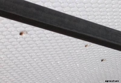 Polydress - Model SolaWrap - Unique Double-Layered System