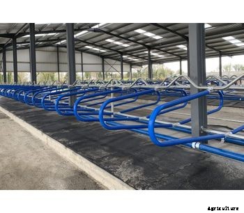 Condon - Hybrid Flex Cubicle