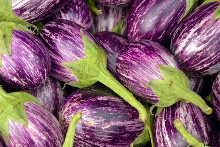 Eggplants