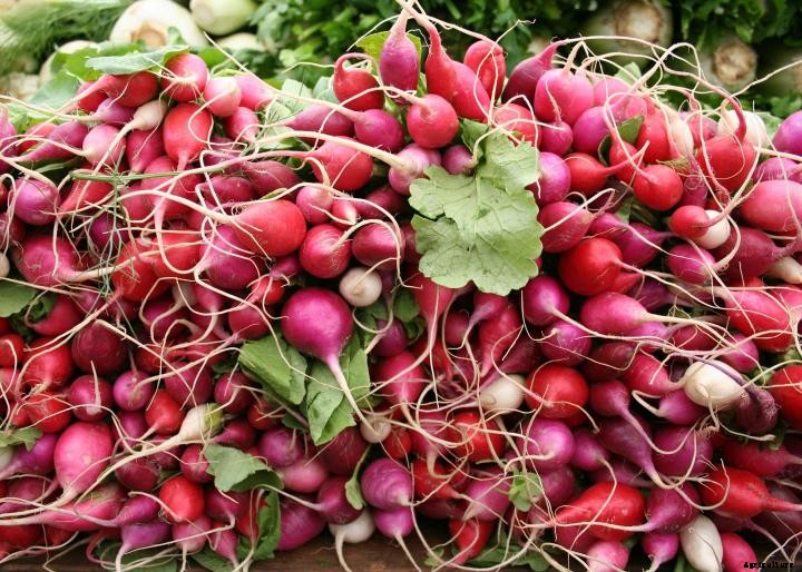 Radishes