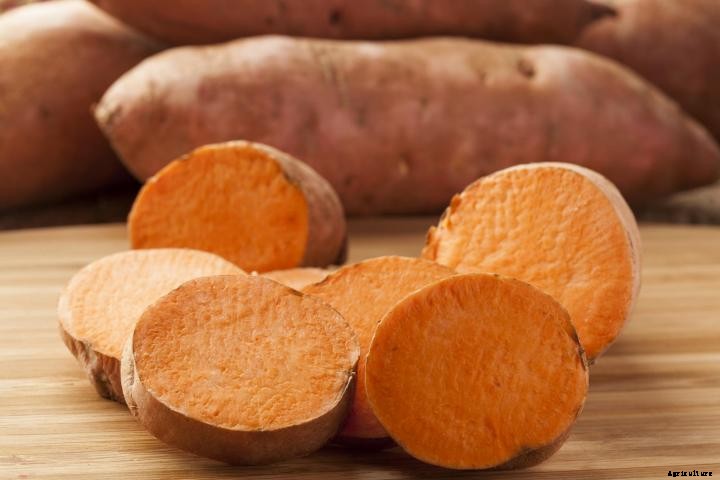 Sweet Potatoes