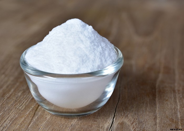 Goat Bloating – Causes, Symptoms, Treatment and Prevention