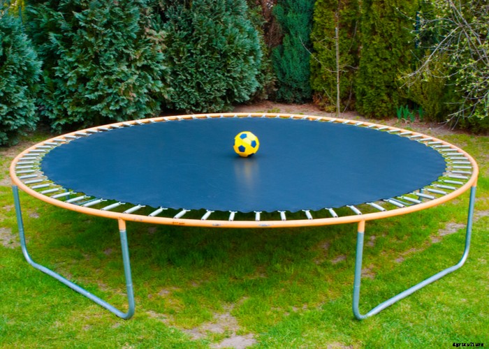 Boredom Busters for Your Goats – 11 Ways to Keep Boredom Away