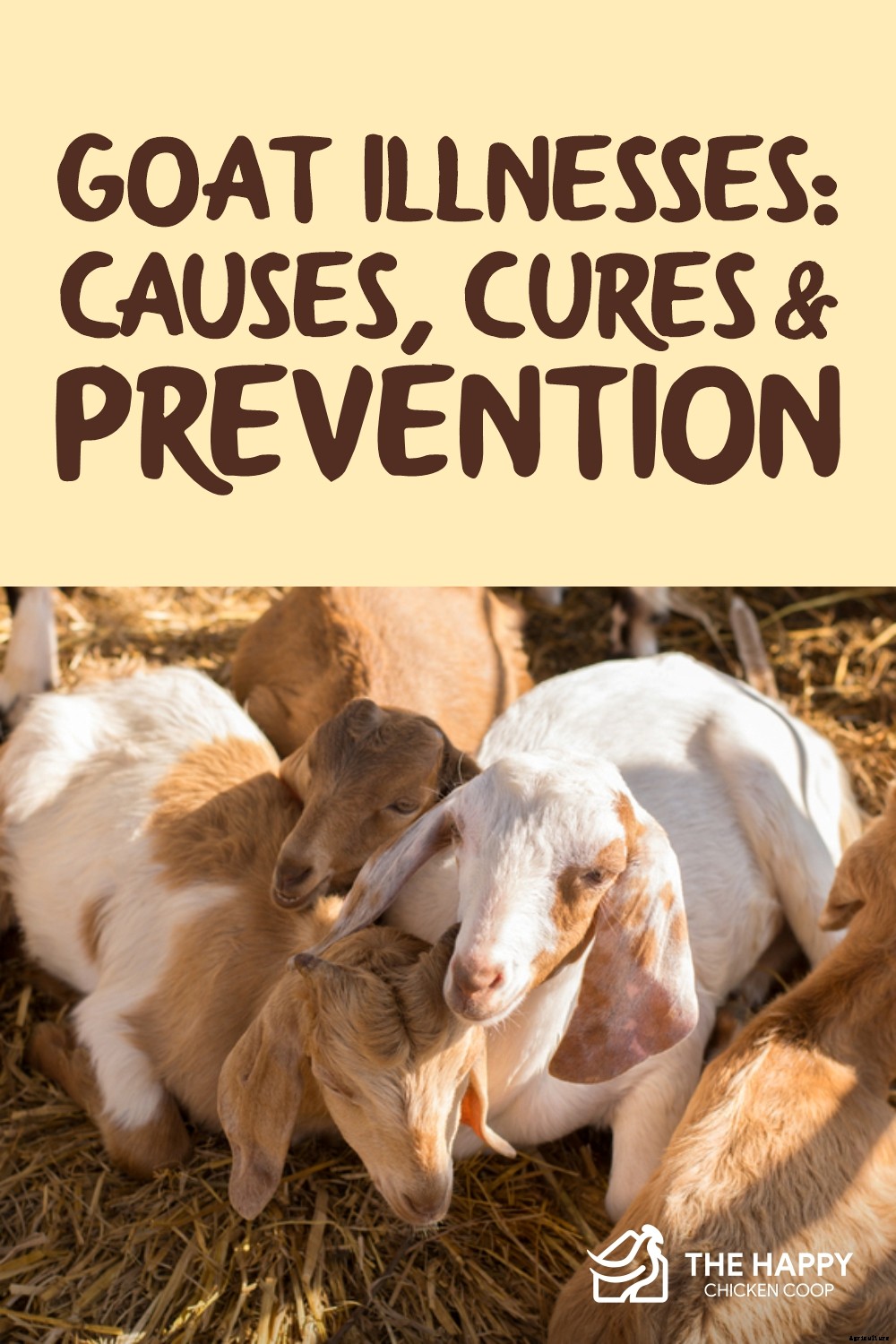 Guideline for Goat Illnesses: Causes, Cures & Prevention