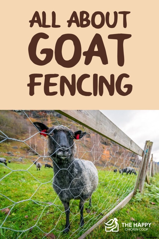 All About Goat Fencing