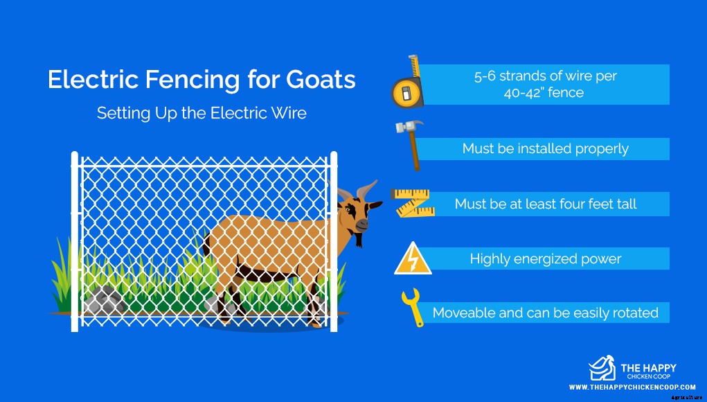 Electric Fence for Chickens and Goats