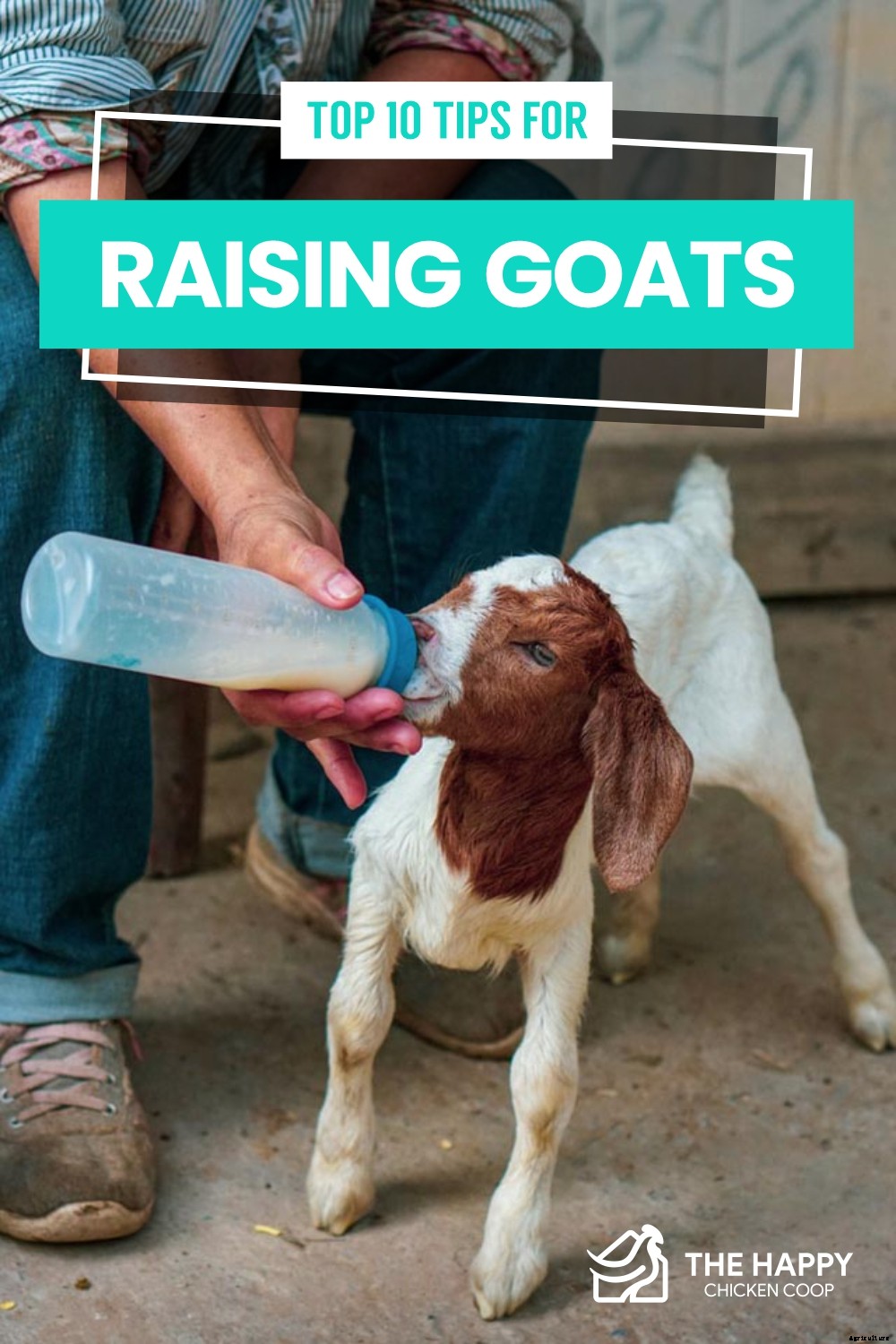 Top 10 Tips For Raising Goats