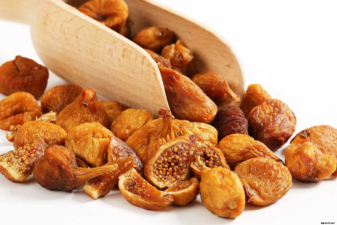 Can Chickens Eat Figs? (Benefits, Nutrition and Feeding Tips)