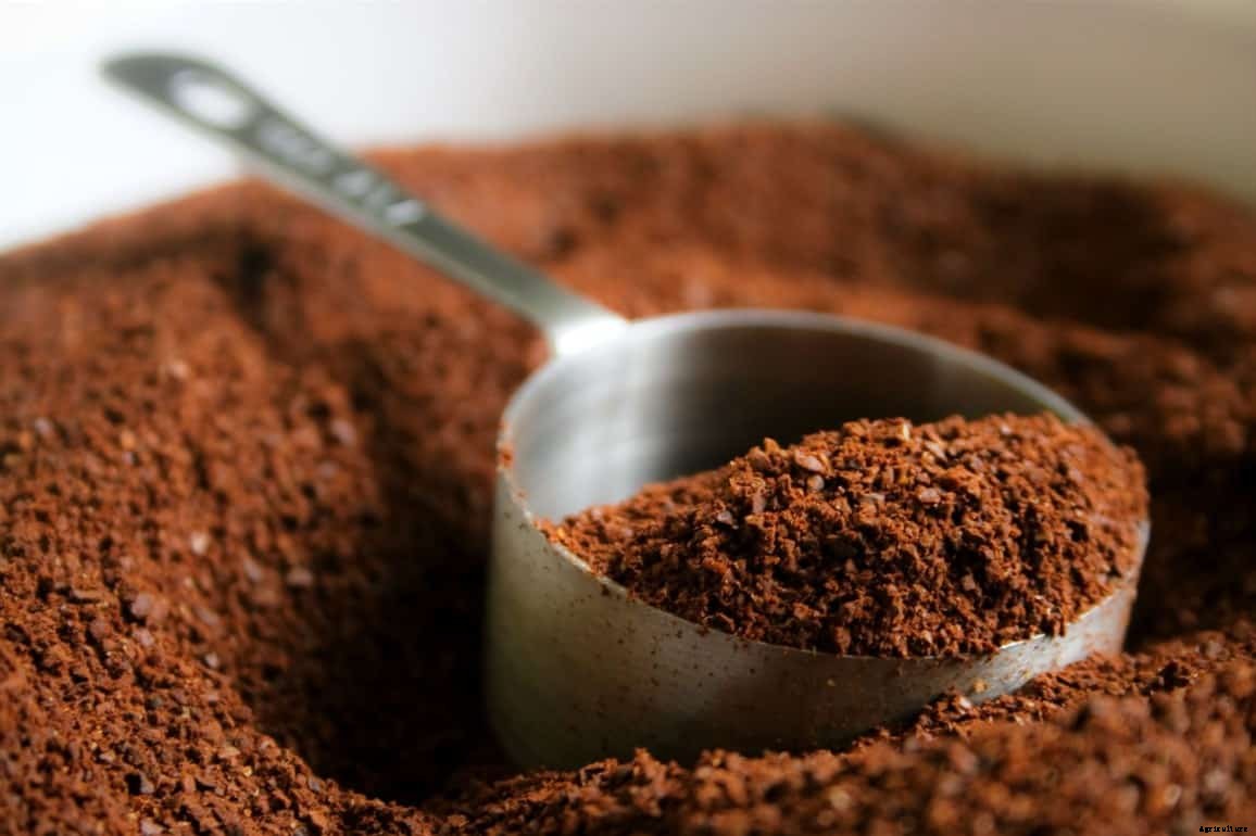 Can Chickens Eat Coffee Grounds? (Nutrition, Benefits & Feeding Tips)