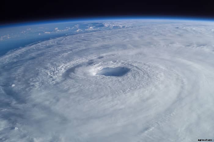How to Prepare Your Chicken Coop for Severe Weather