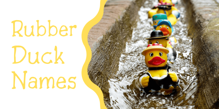250+ Duck Names for Your Feathered Friend (From Aflac to Xerxes)