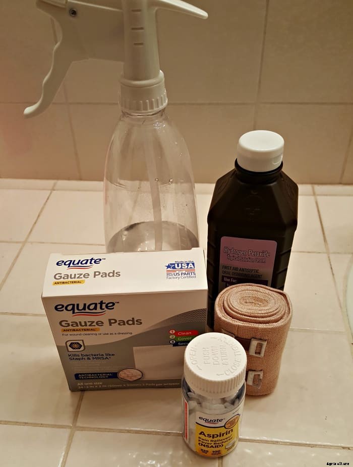 First Aid: How to Care for an Injured Chicken