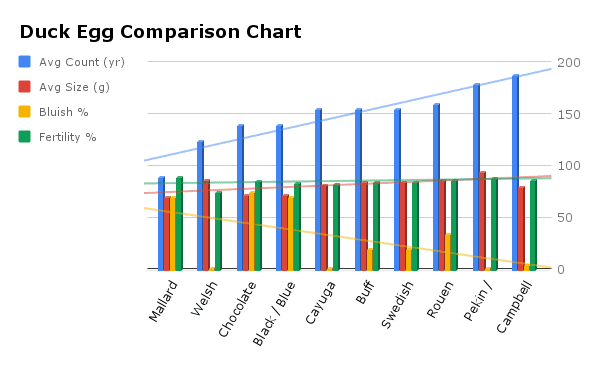The Best Ducks for Laying Eggs