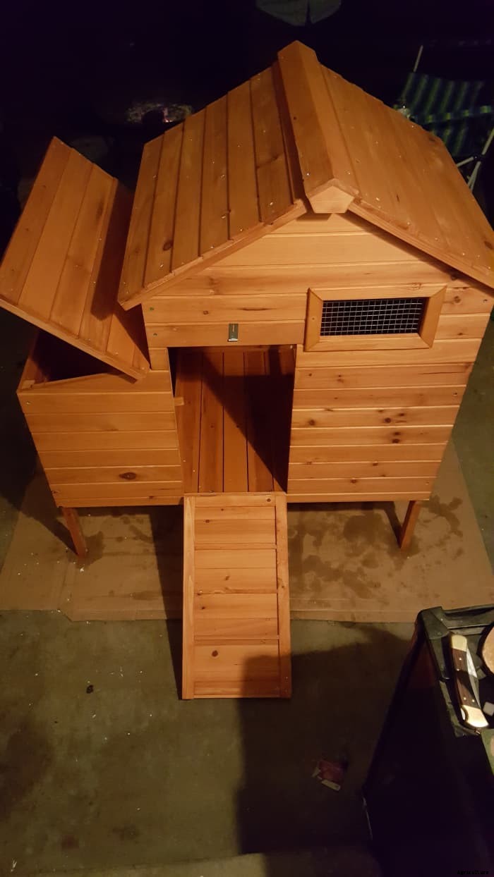 10 Excellent Insider Tips for Raising Backyard Hens