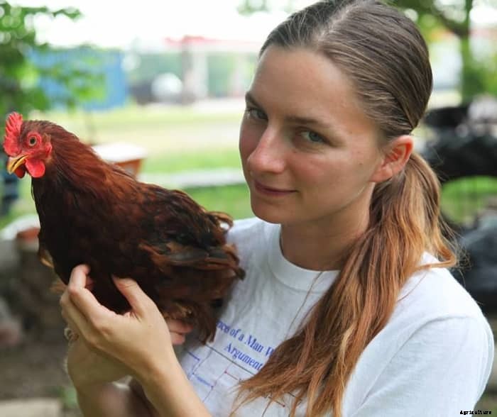 What You Can Do About Chickens Eating Eggs