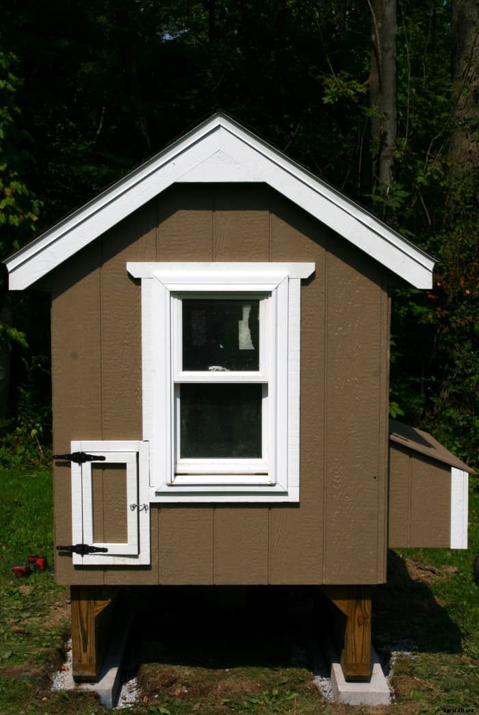 How to Make Your Chicken Coop Predator-Proof