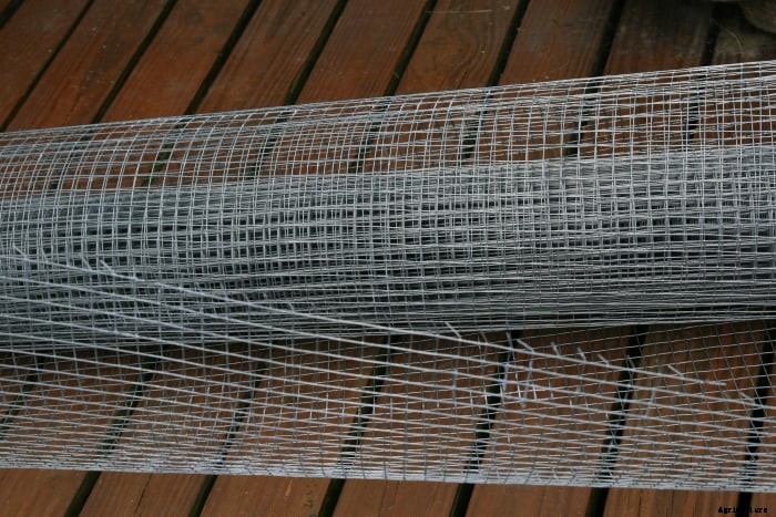 How to Make Your Chicken Coop Predator-Proof