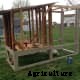 How to Make an Easy DIY Chicken Coop