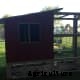 How to Make an Easy DIY Chicken Coop