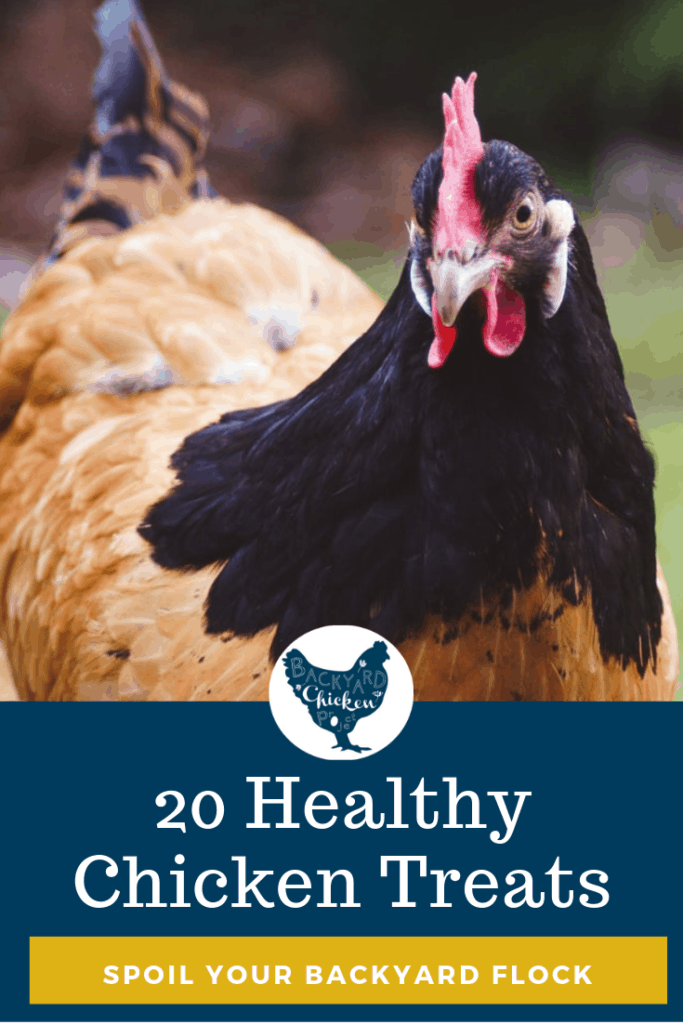 20 Healthy Chicken Treats