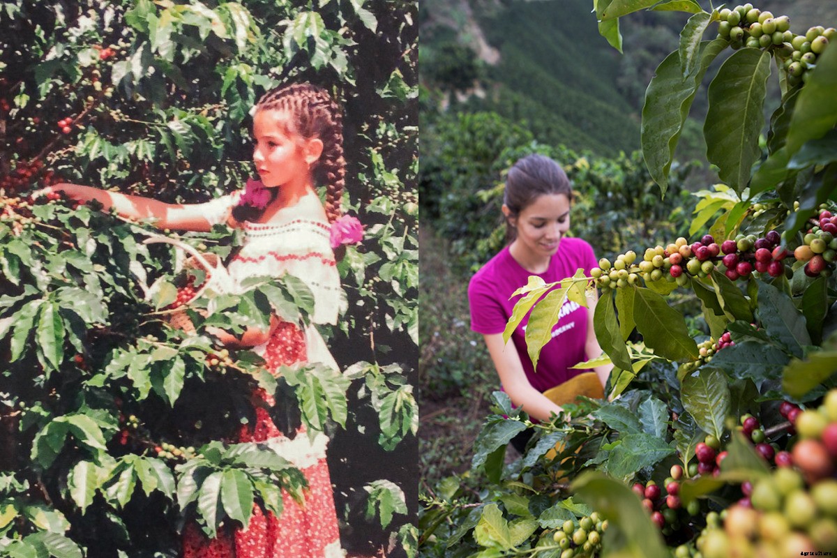Meet the Modern Farmer Helping Colombian Coffee Growers