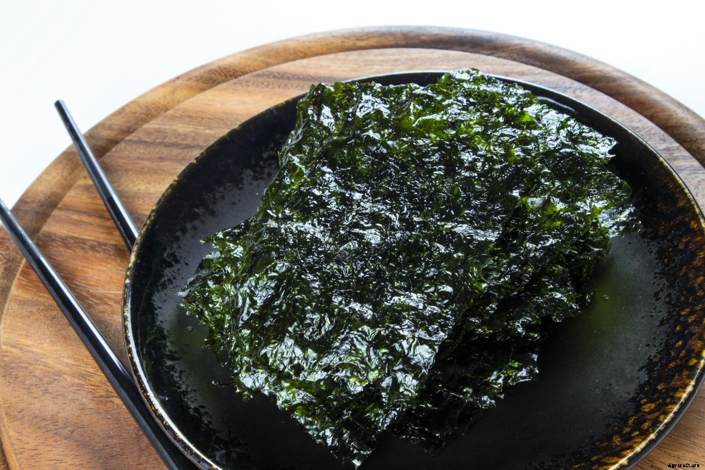 8 Sea Vegetables You Can Cook With