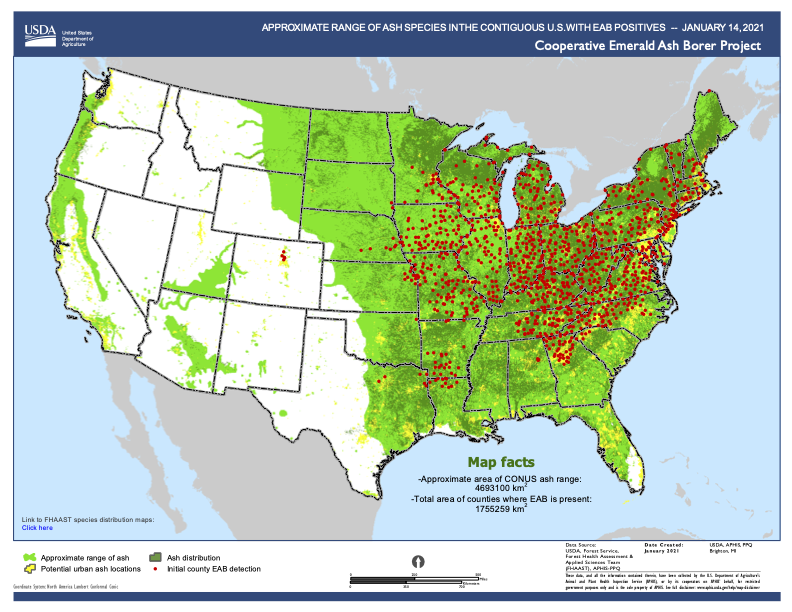 Protecting the Timber Industry From the Emerald Ash Borer