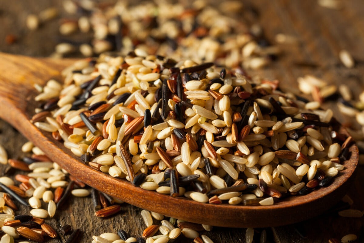 5 Wild Grains You Can Cook With