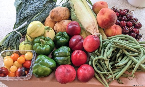 Show Us Your Share Part 2