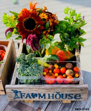 Show Us Your Share Part 2