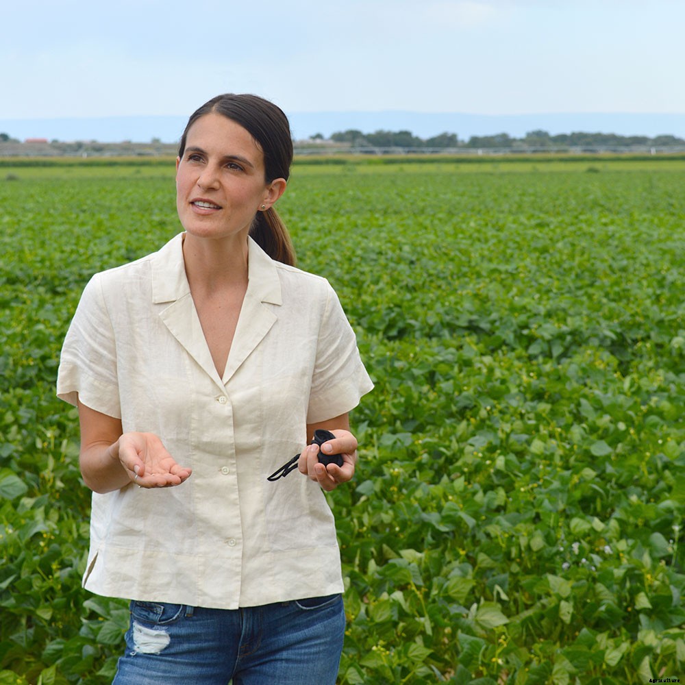 Breeding Better Beans