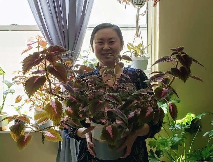 Trading Houseplants and Building Community