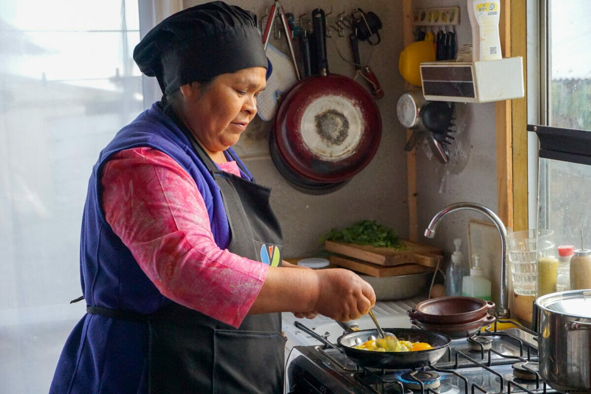 An Indigenous Community Reclaims Land in Chile for Organic Agriculture