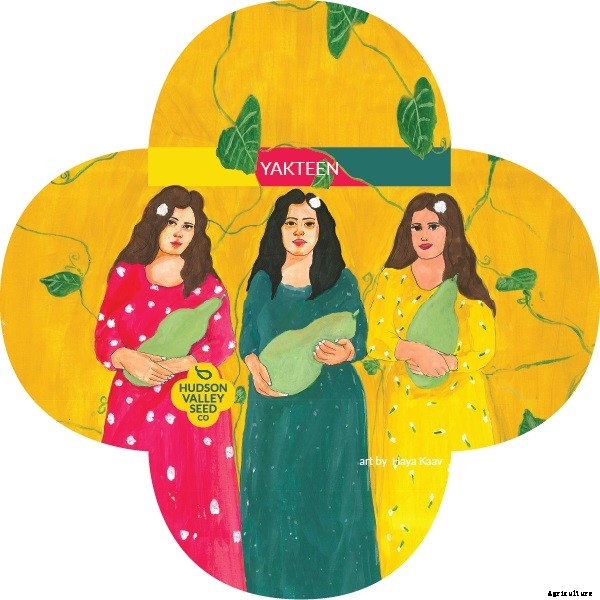 Palestinian Seeds Come to America, Stories and Artwork Included