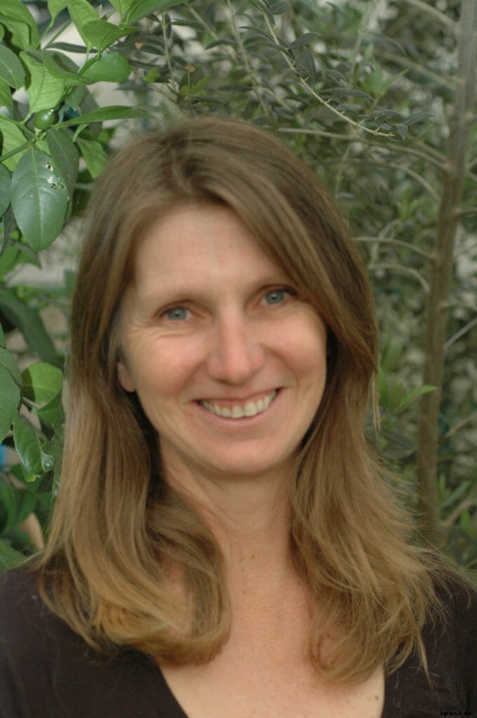 How to Grow Your Own Spices