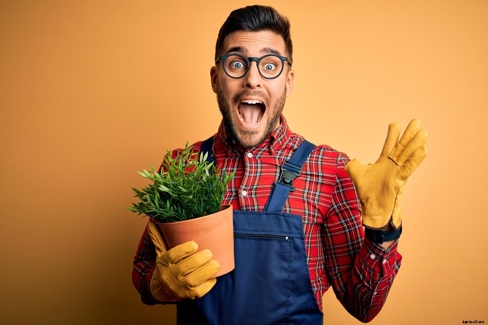 This Year in Food and Farming